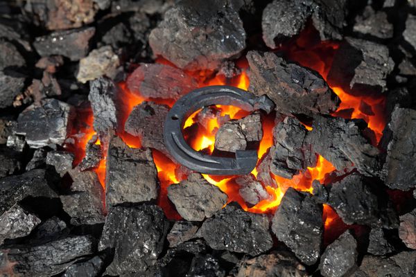 آهنگری حرارت دادن نعل های فلزی روی زغال سنگ
