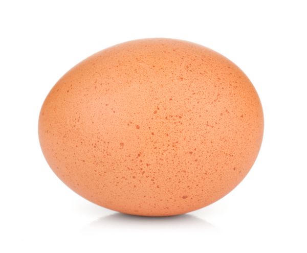 تخم مرغ جدا شده در زمینه سفید