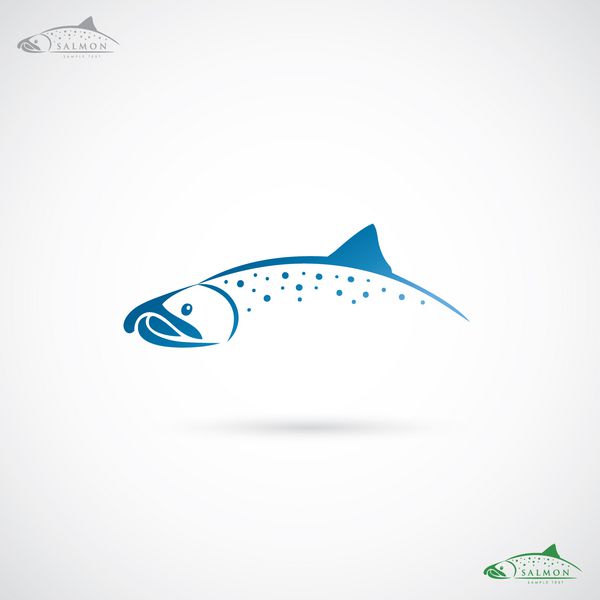 ماهی سالمون - وکتور