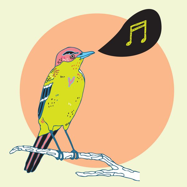 پرنده کوچک و عجیب و غریب که در غروب آفتاب گرمسیری آواز عشق می خواند مفهوم موسیقی