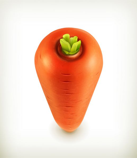 هویج نماد وکتور