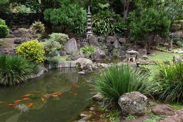 یک باغ ژاپنی با حوض کوی در پارک ایالتی دره یائو در مائوئی هاوایی