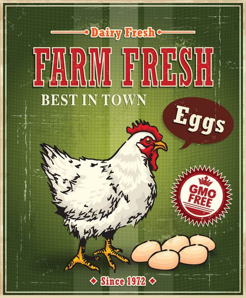 پوستر برچسب تخم مرغ تازه مزرعه قدیمی