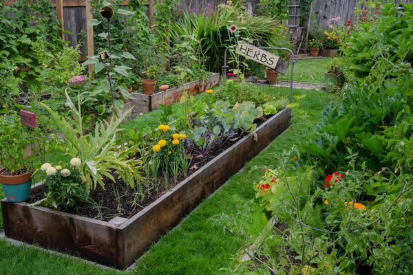 یک تخت مرتفع پر از گیاهان و سبزیجات در مرکز دو باغ باریک دیگر قرار گرفته است یک تابلوی روستایی و لذت بخش لهجه ای هنری می بخشد