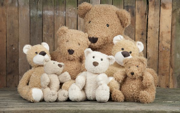 گروهی از خرس های عروسکی بامزه کنار یک دیوار چوبی قدیمی کنار هم نشسته اند
