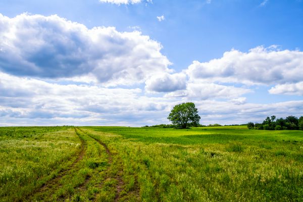 جاده ای که از میان مزارع با ابرهای کرکی می گذرد