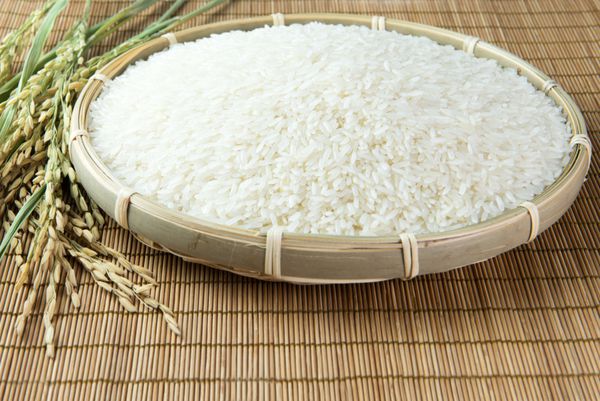 شلتوک و دانه برنج