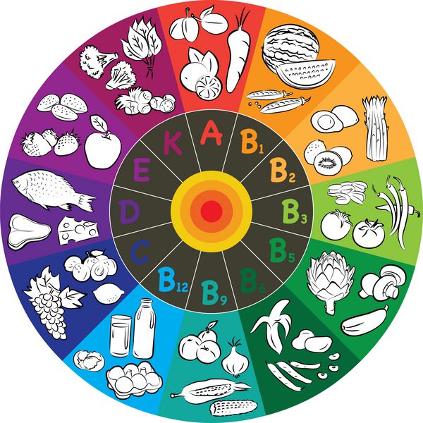 وکتور از گروه های ویتامین در چرخ رنگی