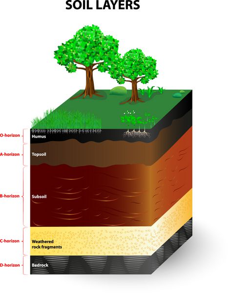 تشکیل خاک و افق خاک خاک مخلوطی از بقایای گیاهی و ذرات معدنی ریز است که لایه‌هایی را تشکیل می‌دهند نمودار برداری