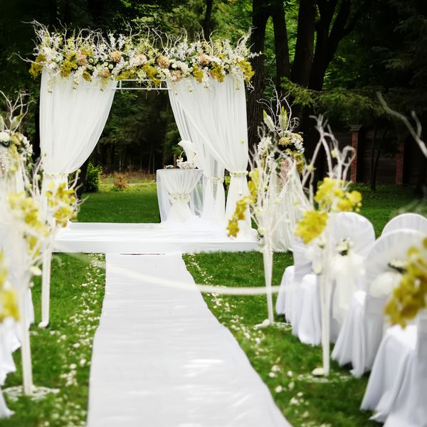 مراسم عروسی زیبا در باغ آفتابی