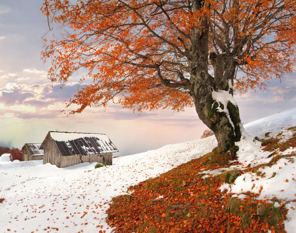 چشم انداز رنگارنگ پاییزی در روستای کوهستانی طلوع خورشید