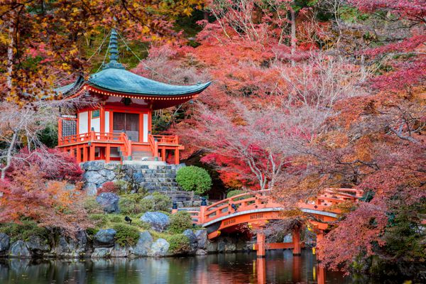 فصل پاییز رنگ برگ قرمز در معبد ژاپن تغییر می کند