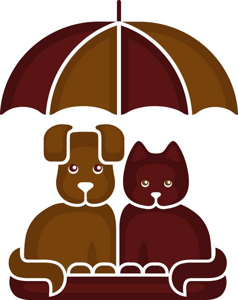گربه و سگ زیر چتر