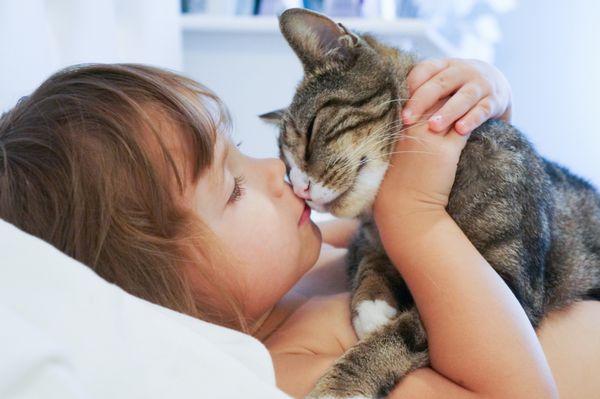 کودک گربه را می بوسد