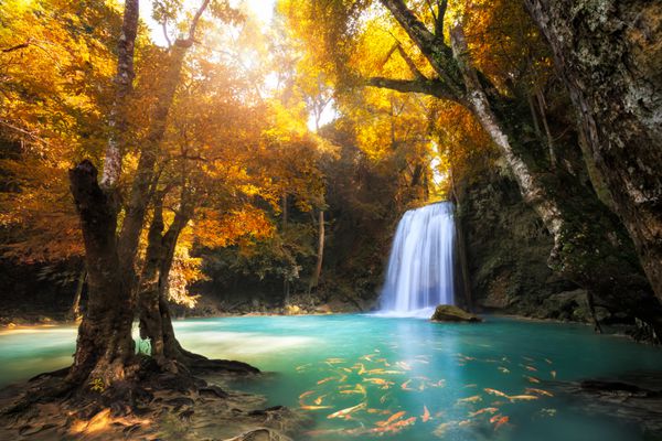 آبشار جنگلی عمیق در کانچانابوری تایلند