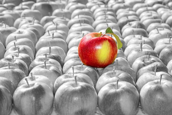 سیب زرد قرمز در پس زمینه سیب سیاه و سفید مفهوم منحصر به فرد