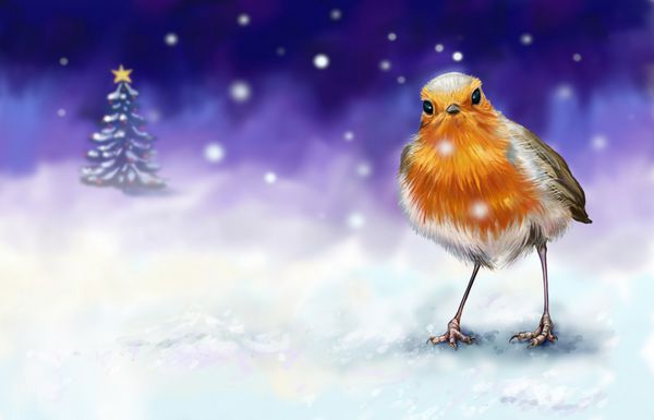 نقاشی دیجیتال کارت رابین کریسمس