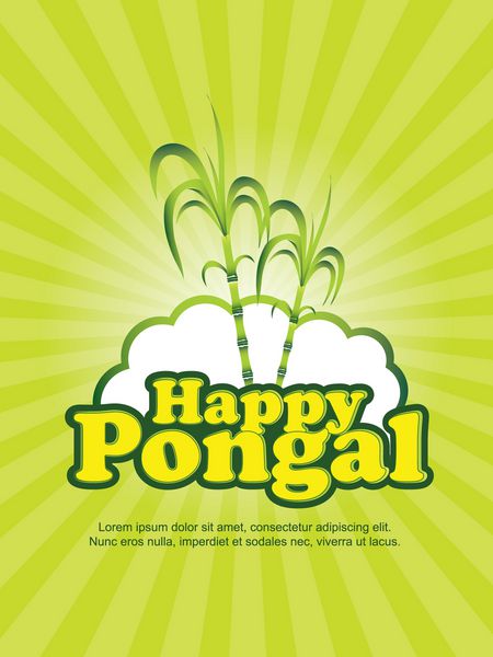 شاد پونگال - پونگال یک جشن برداشت محصول است که از 13 ژانویه در جنوب هند جشن گرفته می شود