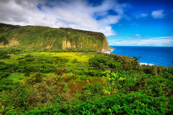 نمای دره واپیو در جزیره بزرگ هاوایی
