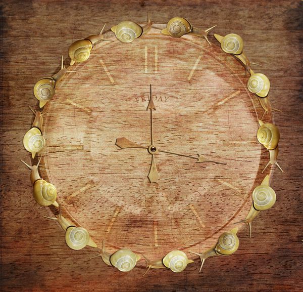زمان کند ساعت رترو با حلزون روی چوب مفهوم هنری