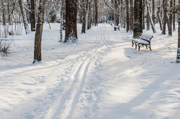 مسیر در کوچه در یک پارک زمستانی