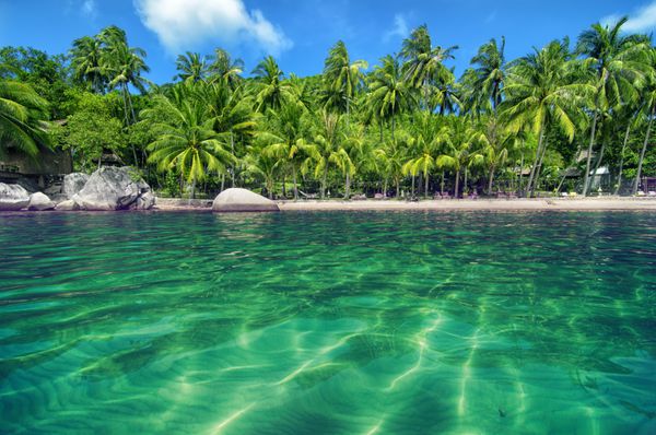 بهشت استوایی با آب فیروزه ای و فضای سبز سرسبز - ساحل دوست داشتنی در یک جزیره