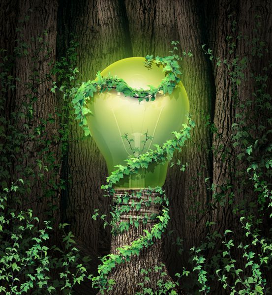 مفهوم حفاظت از محیط زیست با یک جنگل درخت و تنه ای به شکل یک لامپ سبز روشن به عنوان استعاره و نماد آب و هوا برای انرژی های تجدیدپذیر و الهام بخش جهانی محیط زیست