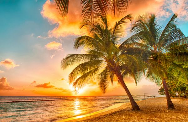 غروب زیبای خورشید بر فراز دریا با منظره نخل‌ها در ساحل سفید در جزیره‌ای بادوس در دریای کارائیب