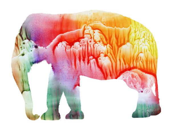 فیل آبرنگ- نقاشی حیوانات با آبرنگ فیل
