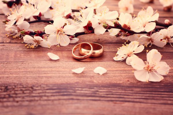 حلقه های ازدواج بهار شاخه گلدار با گلهای ظریف سفید روی موج سواری چوبی اعلامیه عشق دو قلب زوج دعوت نامه عروسی sp برای متن