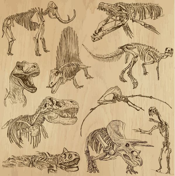 دایناسورها - زندگی در دوران ماقبل تاریخ مجموعه شماره 5 - مجموعه ای از تصاویر کشیده شده با دست توضیحات هر نقاشی از دو لایه خطوط تشکیل شده است پس زمینه رنگی جدا شده است
