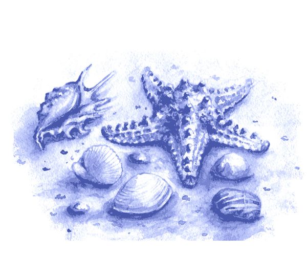 سنگ های آبرنگ صدف دریایی و ستاره دریایی