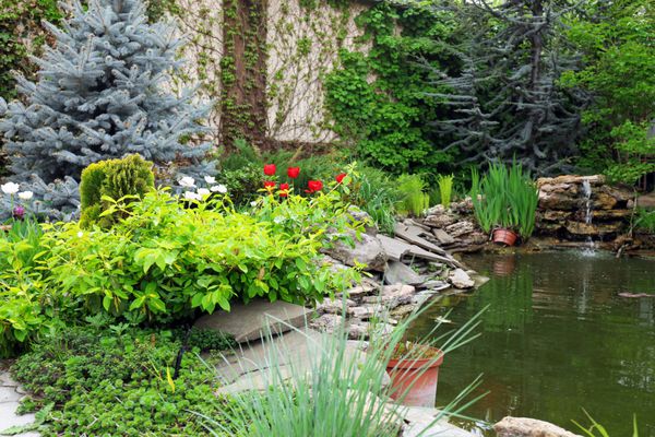 باغ زیبا با حوض