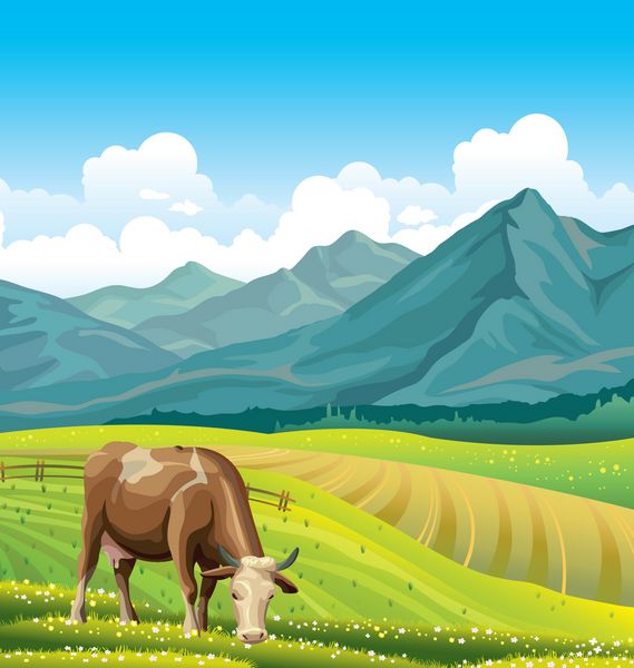 گاو کارتونی و علفزار روستایی با چمن سبز در پس زمینه کوه چشم انداز طبیعی