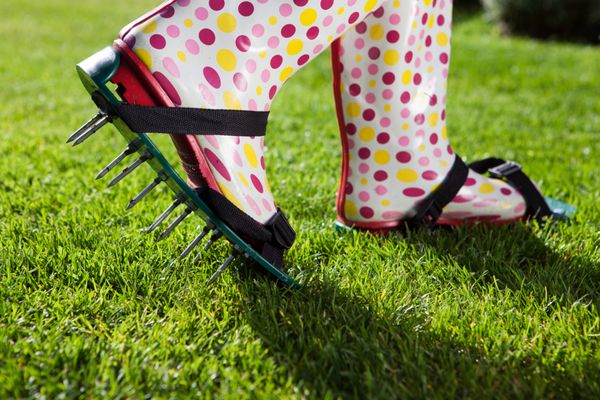زنی با پوشیدن چمن میخ دار کفش های هوادهی احیا کننده مفهوم باغبانی