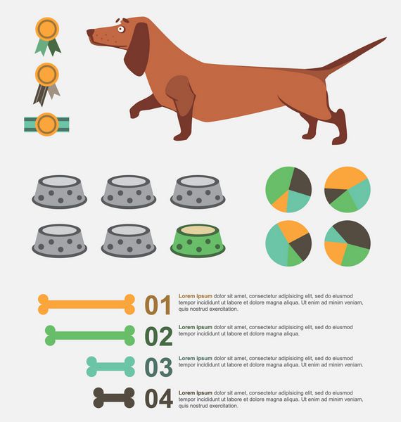 اینفوگرافیک مراقبت از سگ وکتور
