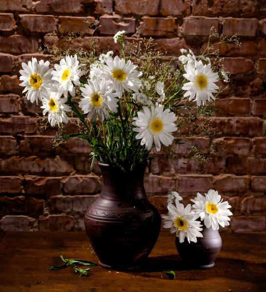 دسته گل بابونه در گلدان