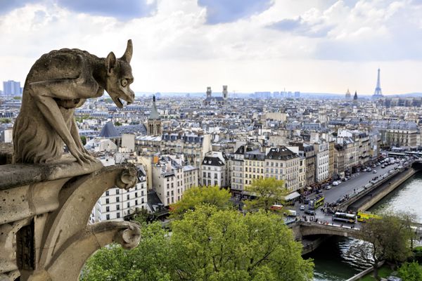 نوتردام پاریس کیمرا دیو معروف مشرف بر برج ایفل در یک روز بهاری فرانسه