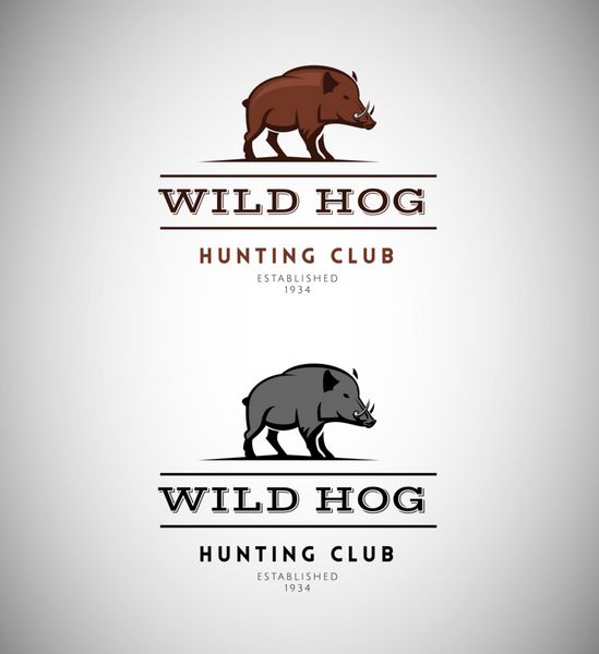الگوی طراحی وکتور لوگوی سیلوئت حیوانات نشان گراز وحشی برای یک باشگاه شکار