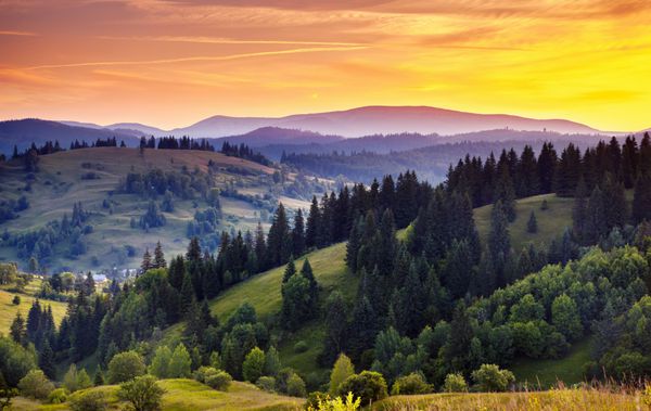 تپه های سبز زیبا در غروب کارپات اوکراین اروپا دنیای زیبایی