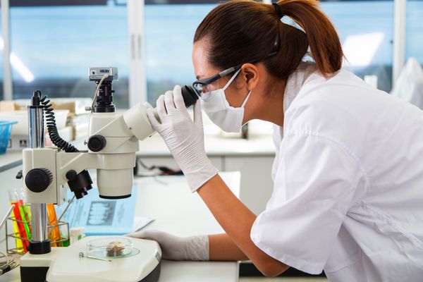 آزمایشات در آزمایشگاه به