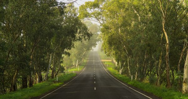 جاده ای در تپه های آدلاید استرالیای جنوبی