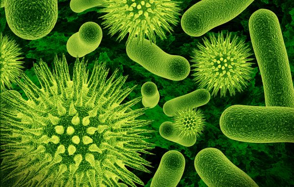ارائه واقعی باکتری ها - در رنگ های سبز