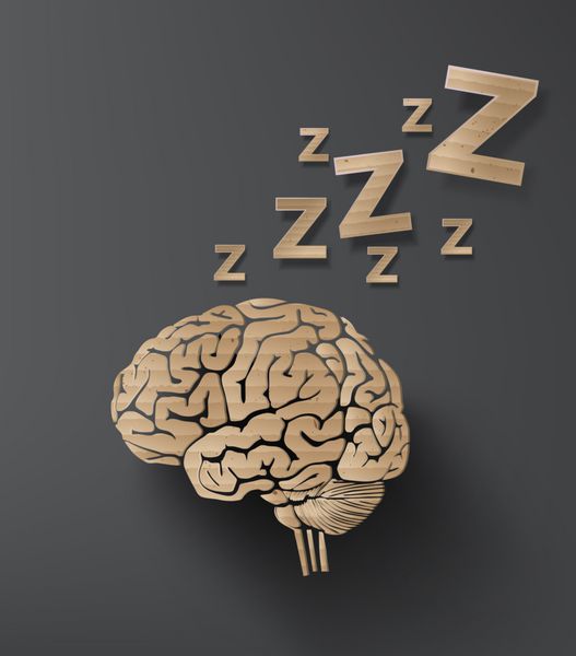 وکتور مفهوم خواب با مغز طراحی مقوای گرافیکی اطلاعاتی
