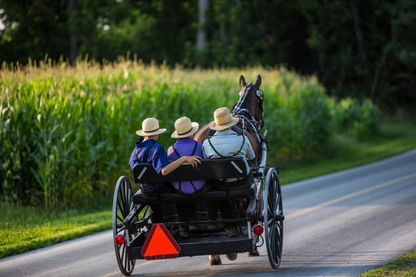 سه مرد جوان آمیش در کالسکه باز که در جاده روستایی در پنسیلوانیا به سمت پایین می روند