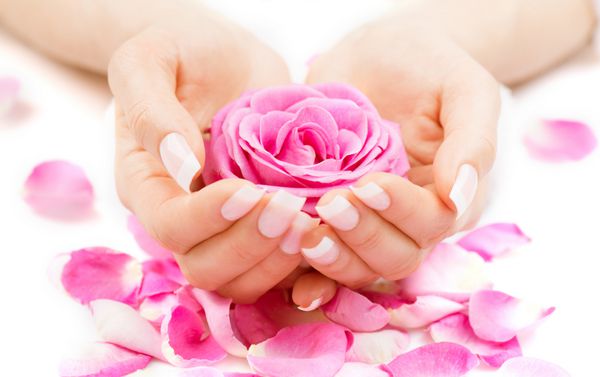 مانیکور و آبگرم دست نزدیک دست های زن زیبا ناخن های آراسته و پوست نرم دست های زیبایی با گلبرگ های گل رز درمان زیبایی ناخن های زنانه زیبا با مانیکور فرانسوی زیبا
