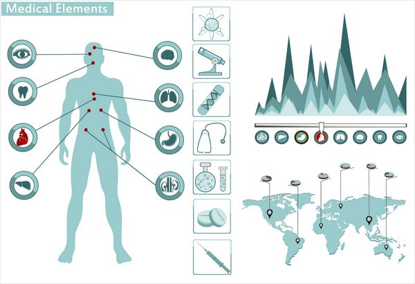 اینفوگرافیک پزشکی مجموعه ارائه بدن انسان با اندام های داخلی به اضافه دکمه ها نمودار نمودار