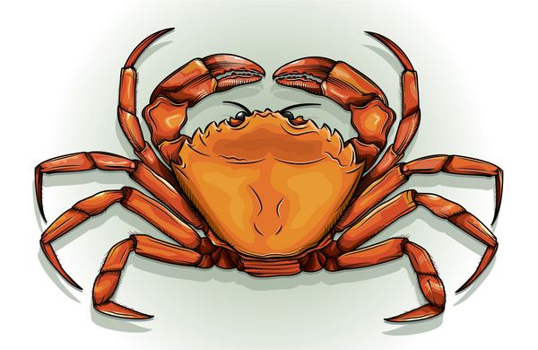 طراحی دقیق وکتوری از خرچنگ خرچنگ که به راحتی می‌توانید لایه‌ها و گروه‌بندی‌های مش‌ها یا ترکیب‌ها یا شفاف‌های مورد استفاده روی خرچنگ را فقط روی لایه پس‌زمینه انجام دهید