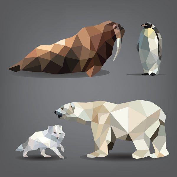 مجموعه وکتور حیوانات شمال خرس روباه قطبی شیر دریایی پنگوئن