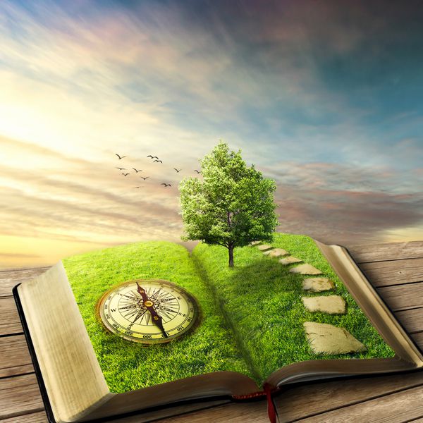 تصویر کتاب جادویی باز شده پوشیده از چمن قطب نما درخت و راه سنگی روی کف چوبی بالکن دنیای فانتزی منظره خیالی کتاب درخت زندگی مفهوم راه درست محافظ صفحه نمایش اصلی